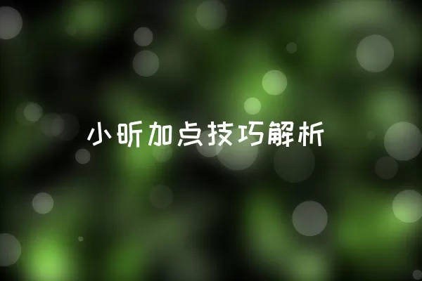 小昕加点技巧解析